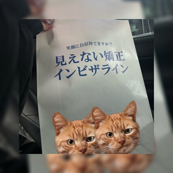 まじかよ