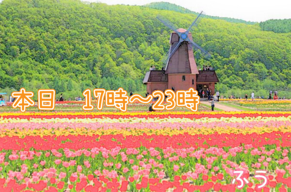 本日17時から(＾ｰ^)💫