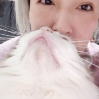 あーーー