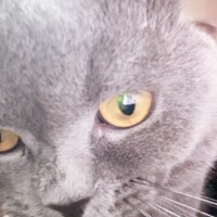 ナニモシタクナイ
