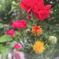 おはようございます*\(^o^)/*☀️