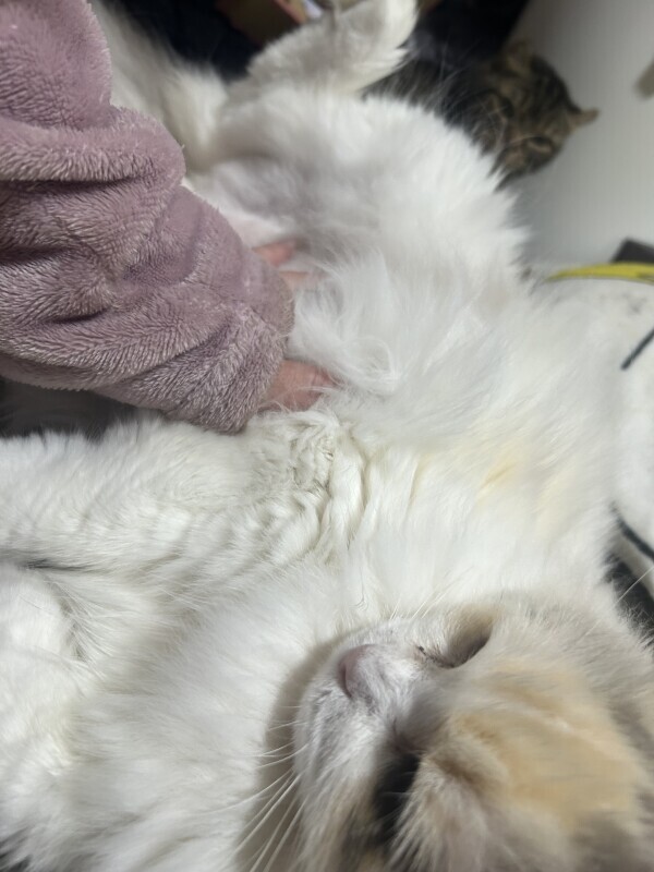 おはようございます
