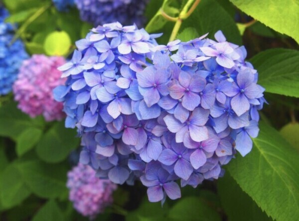 ５月のお礼♡