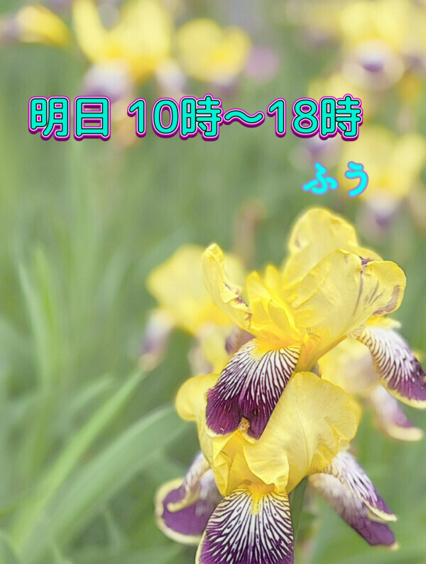 復帰👊💖明日出勤*\(^o^)/*