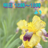 ふう