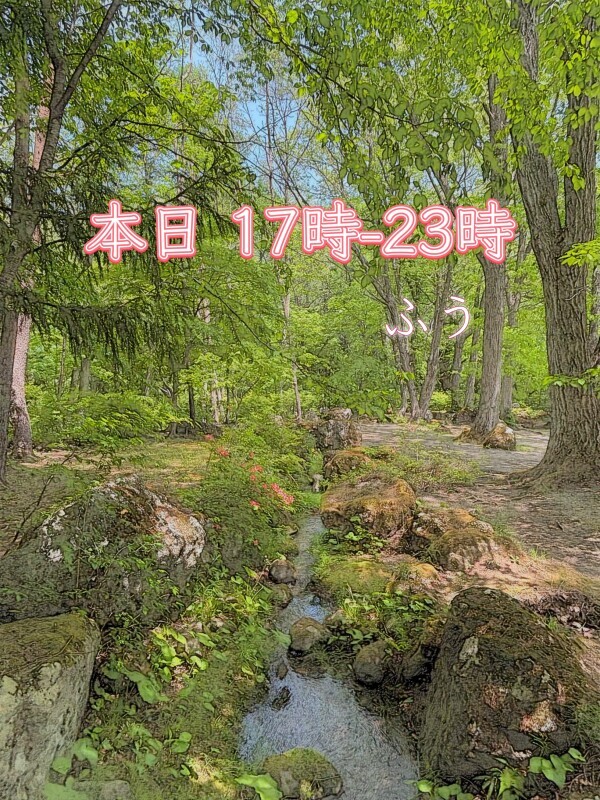 本日17時から(・∀・)♡
