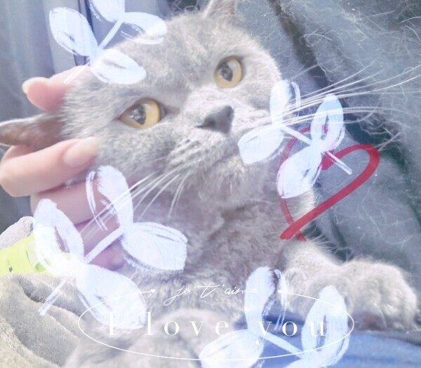 おはよーさん