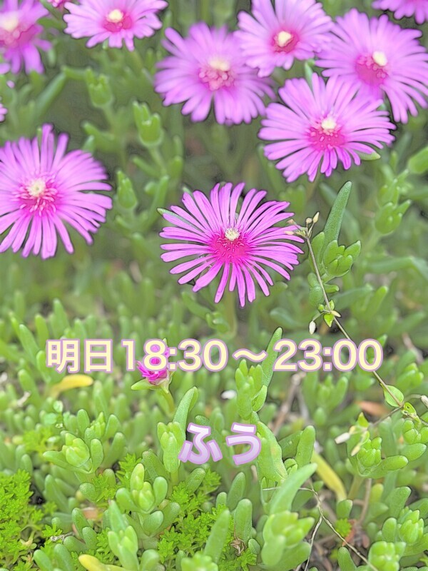 day off:明日18時半から