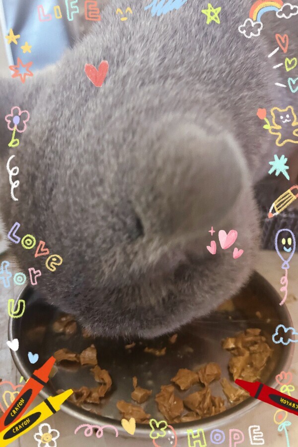 あむあむ