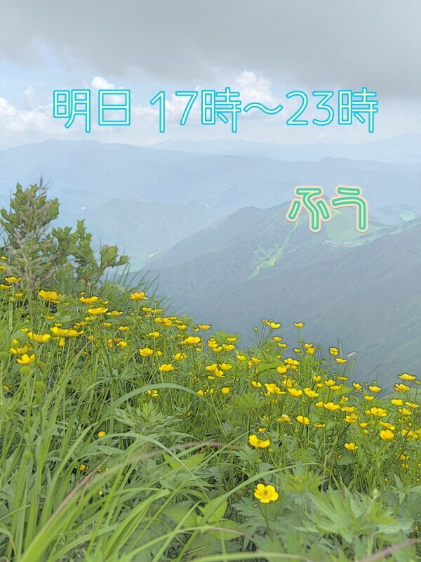 day off:明日17時から(°▽°)💓