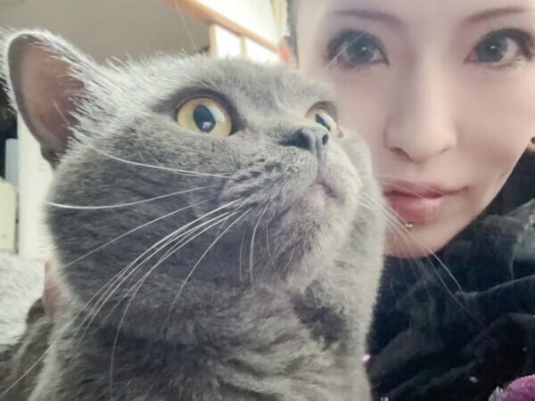えっさほっさ