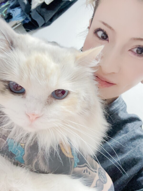 やっべ