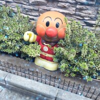 みほ