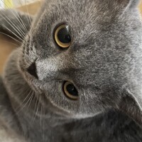ちなつ