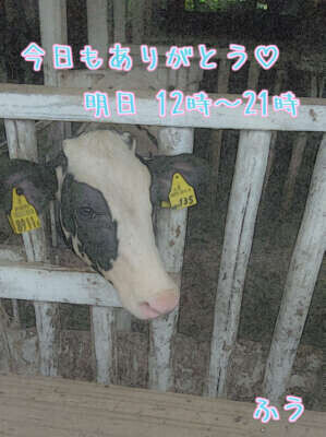 今日もありがとう*\(^o^)/*💖