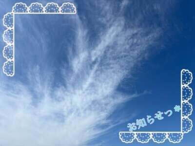 お知らせだよっ