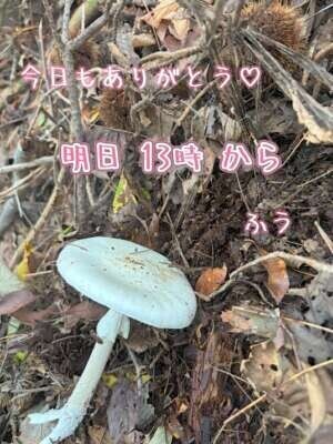 今日もありがとう*\(^o^)/*♡♡♡