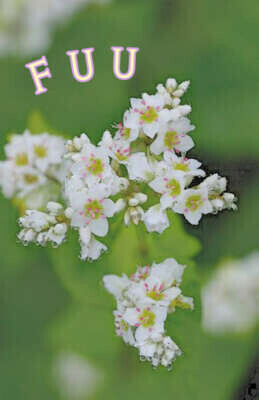 day off: 7日出勤*\(^o^)/*💖