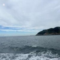 ご予約完売ありがとうです♡