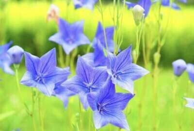 １０月のお礼♡