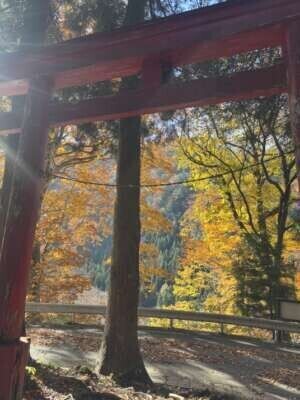 本日15時から*\(^o^)/*💖