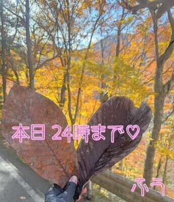 本日24時まで(^◇^;)💦