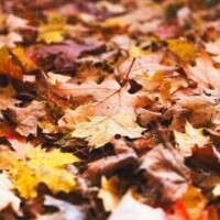 また金曜日⭐︎