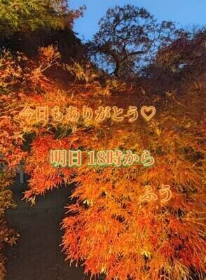 今日もありがとう╰(*´︶`*)╯♡