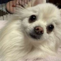 んんん？なんでぇ？