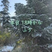 昨夜もありがとう💕