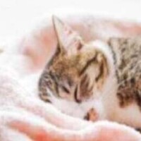 今年も一年ありがとうございました