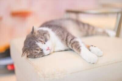 次は金曜日⭐︎