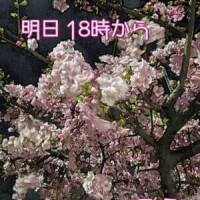 day off:明日 18時から*\(^o^)/*♡♡♡