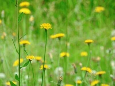 またあした⭐︎