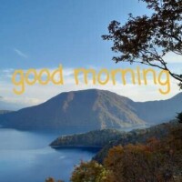 おはようございます♥️