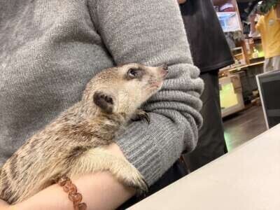 一度会った人のことって