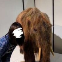 完売のお知らせ