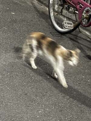 休んでしまい、すみません。