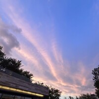 めぐみ