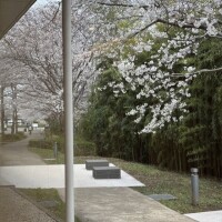 かんな
