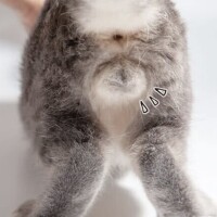 明日、久喜にて‥