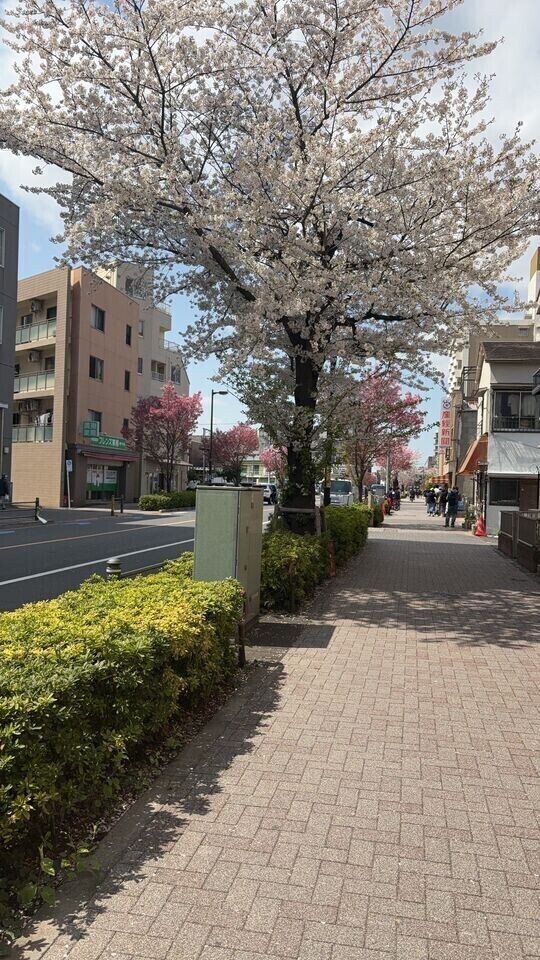 よーし、久々のお店予定立てた！！