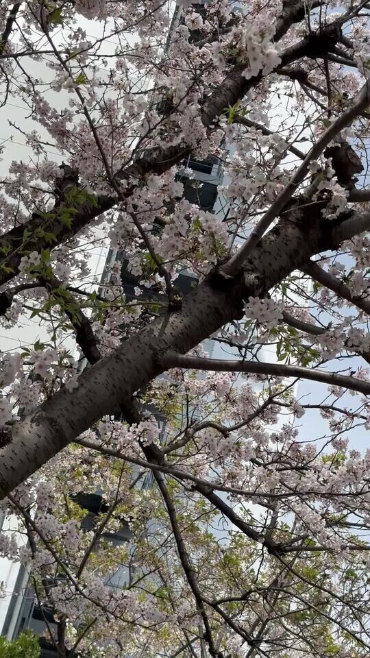 明日出勤です♪