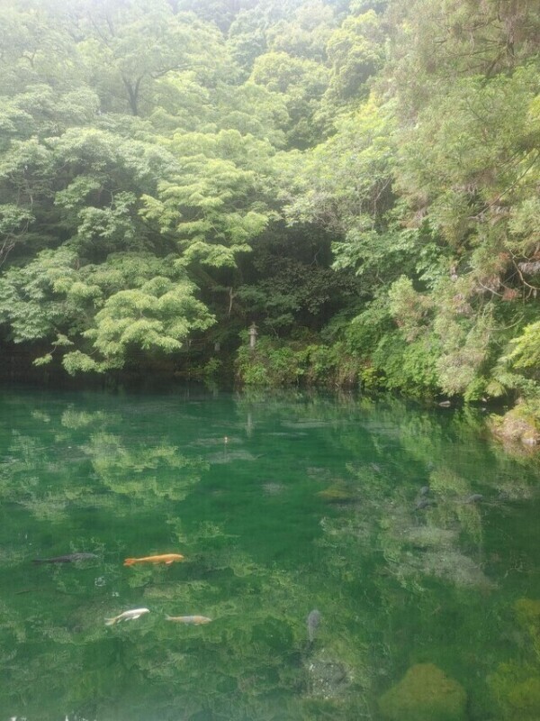 明日出勤