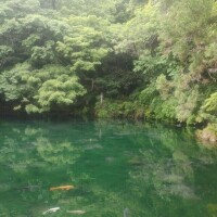 みなみ（新人）