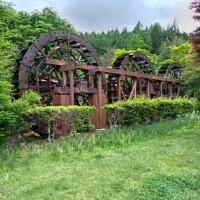 お礼です