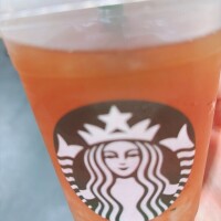 とうちゃーく！