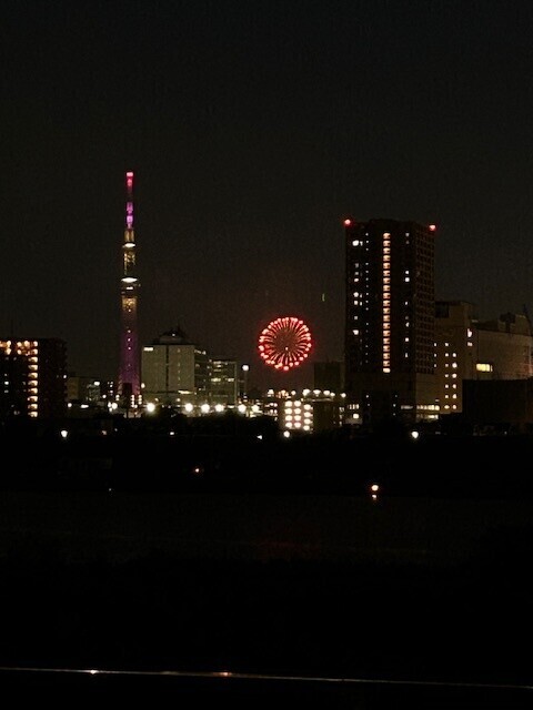 image1.jpeg