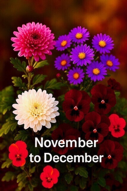 コンビニご飯の方へ💝