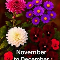 コンビニご飯の方へ💝